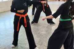 WhatsApp-Image-2026-07-14-at-15.13.29-3