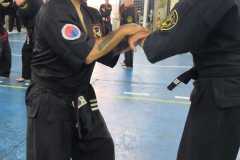 HWANGAP-136