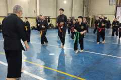 HWANGAP-199
