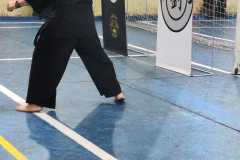 HWANGAP-208
