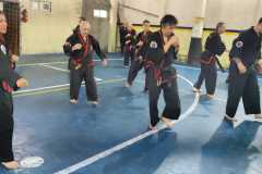 HWANGAP-224