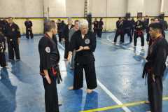 HWANGAP-288