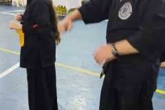 HWANGAP-295
