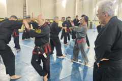 HWANGAP-319