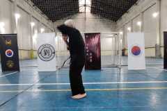 HWANGAP-336