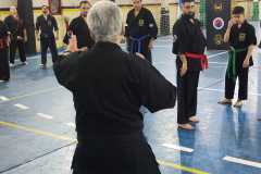 HWANGAP-392