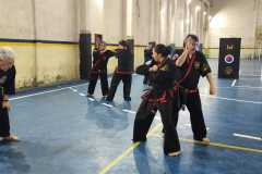 HWANGAP-401