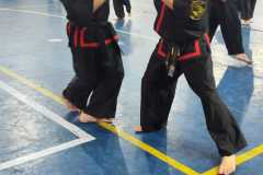HWANGAP-424