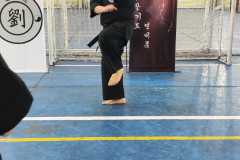 HWANGAP-520