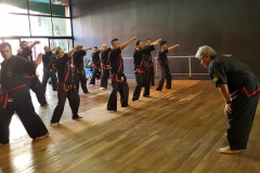 CLASE REGULAR DEL MAESTRO DAE WON YOO