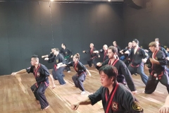 CLASE REGULAR DEL MAESTRO DAE WON YOO