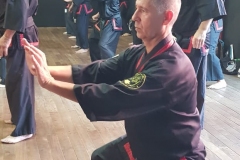 CLASE REGULAR DEL MAESTRO DAE WON YOO