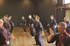 CLASE REGULAR DEL MAESTRO DAE WON YOO