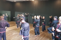 CLASE REGULAR DEL MAESTRO DAE WON YOO