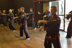 CLASE REGULAR DEL MAESTRO DAE WON YOO