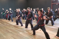 CLASE REGULAR DEL MAESTRO DAE WON YOO