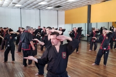 Clase regular del maestro #YOAN 08/02/20