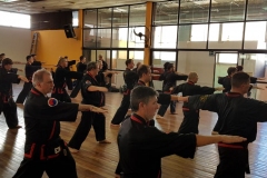 Clase regular del maestro #YOAN 08/02/20