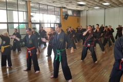 Clase regular del maestro #YOAN 08/02/20