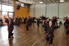 Clase regular del maestro #YOAN 08/02/20