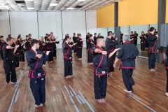 Clase regular del maestro #YOAN 08/02/20