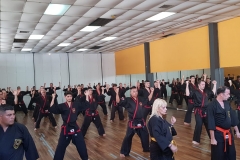 Clase regular del maestro #YOAN 08/02/20