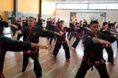 Clase regular del maestro #YOAN 08/02/20