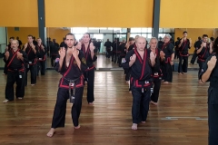 Clase regular del maestro #YOAN 08/02/20