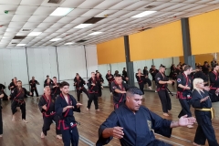 Clase regular del maestro #YOAN 08/02/20
