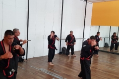 Clase regular del maestro #YOAN 08/02/20