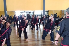 Clase regular del maestro #YOAN 08/02/20
