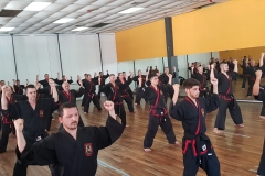 Clase regular del maestro #YOAN 08/02/20