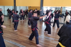 Clase regular del maestro #YOAN 08/02/20