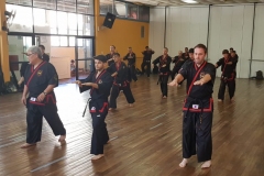 Clase regular del maestro #YOAN 08/02/20