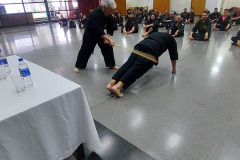 SHIMSA MAESTROS