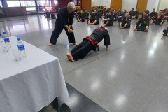 SHIMSA MAESTROS