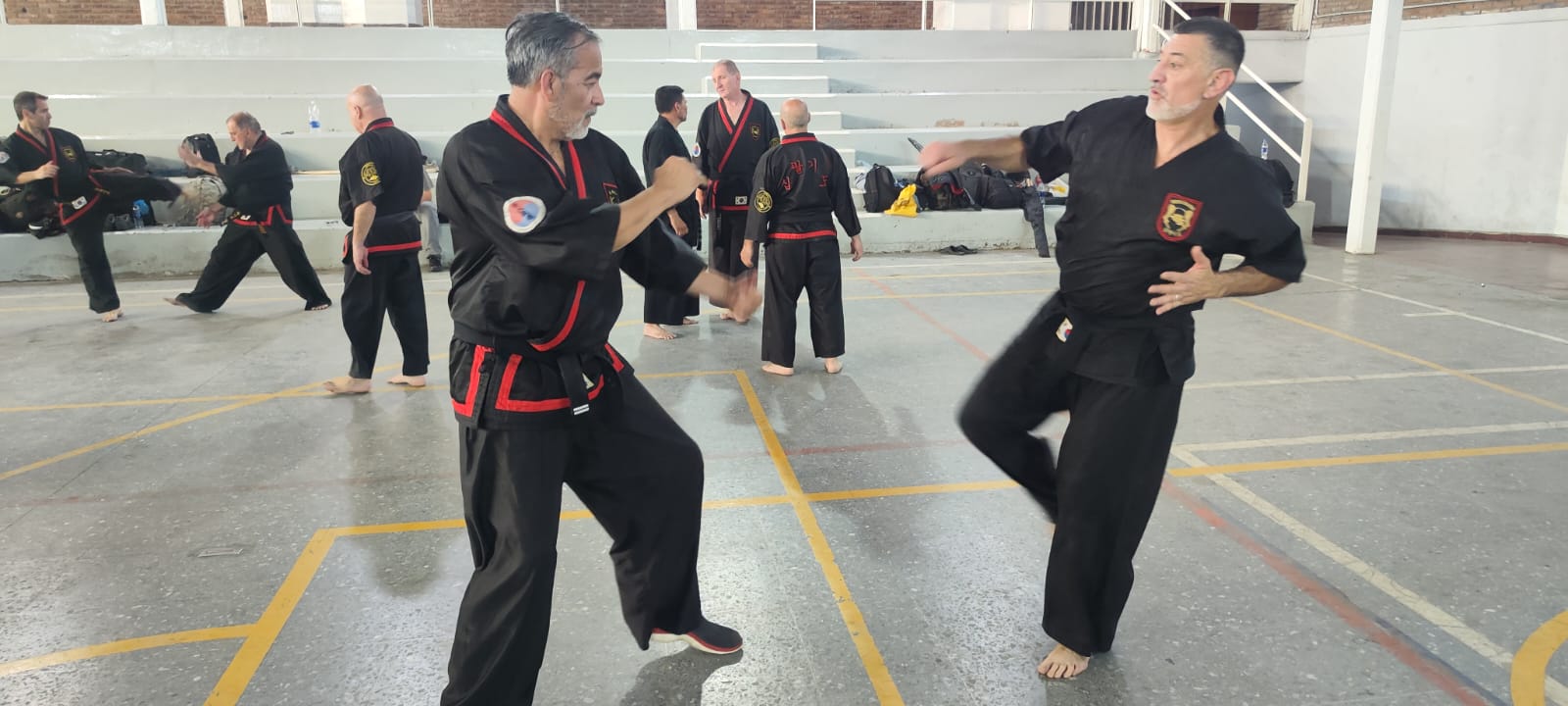 GRAND-MASTER-YOO-SOO-NAM-2025-725
