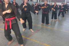 GRAND-MASTER-YOO-SOO-NAM-2025-1015