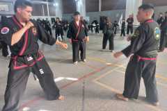 GRAND-MASTER-YOO-SOO-NAM-2025-1019