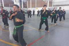 GRAND-MASTER-YOO-SOO-NAM-2025-1103