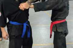 GRAND-MASTER-YOO-SOO-NAM-2025-1119