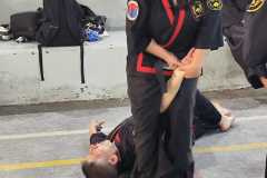 GRAND-MASTER-YOO-SOO-NAM-2025-1151