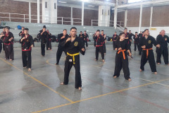 GRAND-MASTER-YOO-SOO-NAM-2025-1295