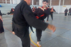 GRAND-MASTER-YOO-SOO-NAM-2025-1391