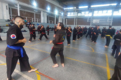 GRAND-MASTER-YOO-SOO-NAM-2025-1439