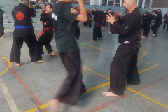 GRAND-MASTER-YOO-SOO-NAM-2025-1456