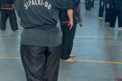 GRAND-MASTER-YOO-SOO-NAM-2025-1504
