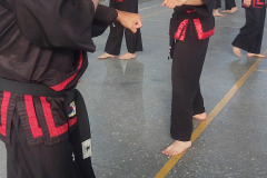 GRAND-MASTER-YOO-SOO-NAM-2025-1512