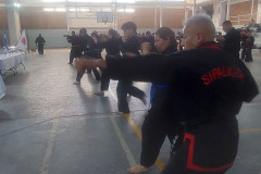 GRAND-MASTER-YOO-SOO-NAM-2025-1550