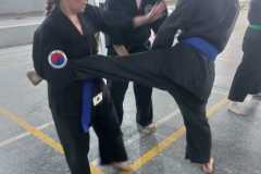 GRAND-MASTER-YOO-SOO-NAM-2025-1784
